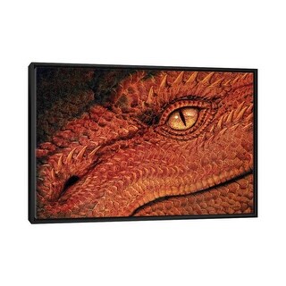 iCanvas "Dragon Eye" by Ciruelo Framed Canvas Print - Bed Bath & Beyond ...