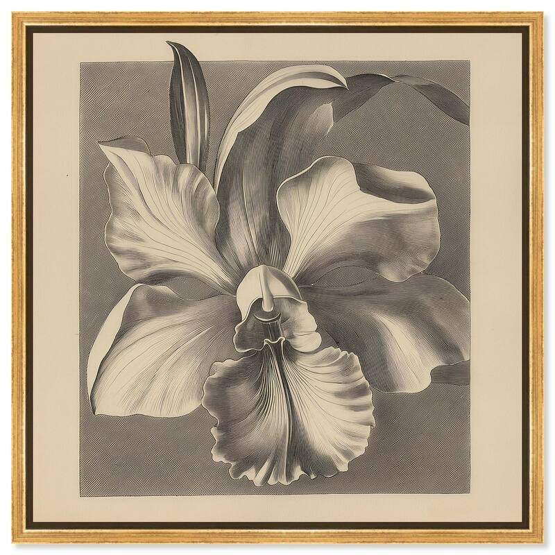 Petals Unfurled II Canvas by Art Remedy - 16" x 16" - Gold
