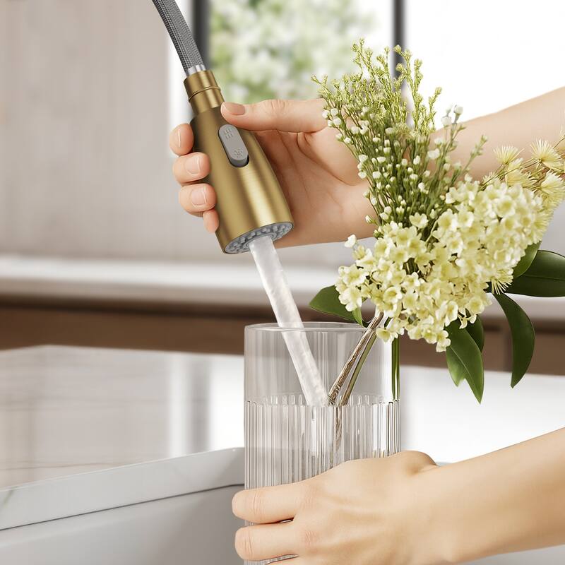 Modern 2-Function Pull-Down Kitchen Faucet – Single Handle, 1-Hole Installation