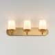 preview thumbnail 9 of 9, Maxim 12893WT Durham 3 Light 24" Wide Bath Vanity Light