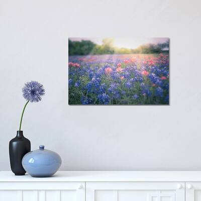 iCanvas "Texas Bluebonnets" by Ann Hudec Canvas Print