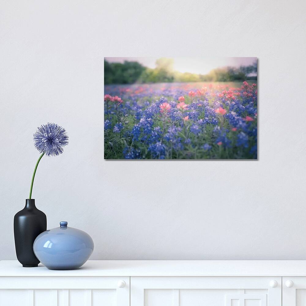 iCanvas "Texas Bluebonnets" by Ann Hudec Canvas Print