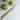 Shun Classic Blonde Utility Knife, 6 Inch