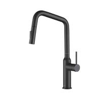 Buy Black Kitchen Faucets Online at Overstock | Our Best ...