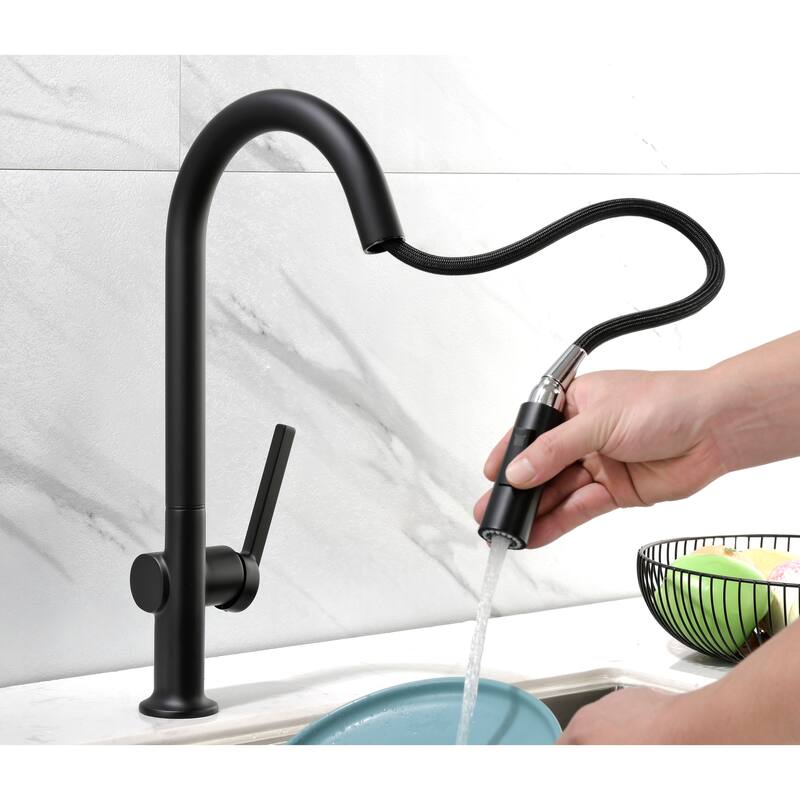 Rbrohant High-Arc Single Handle Pull Down Kitchen Faucet