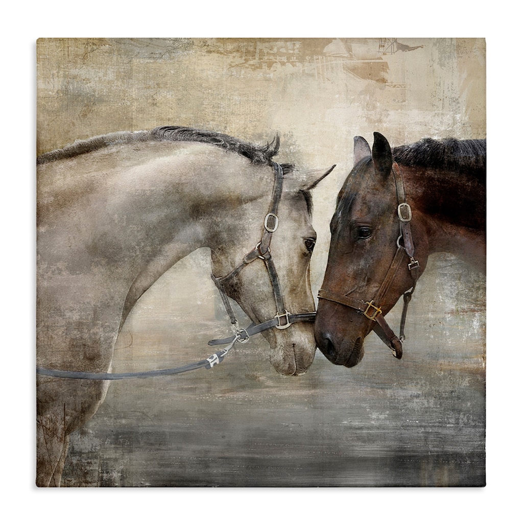 Stupell Horse Couple Textured Farm Animal Photograph Canvas Wall Art