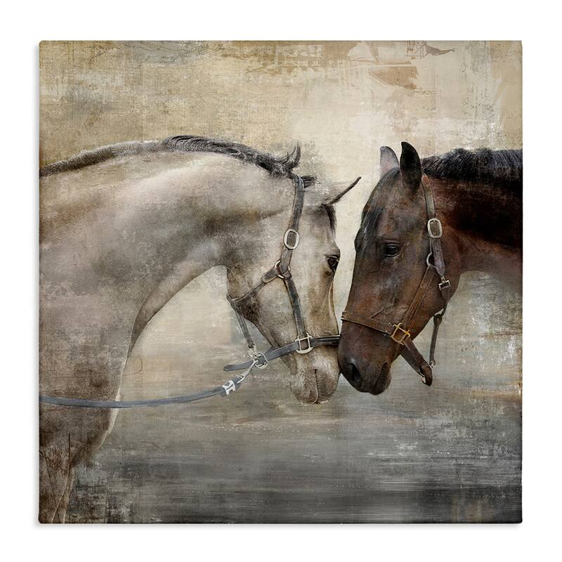 Stupell Horse Couple Textured Farm Animal Photograph Canvas Wall Art - 24 x 24