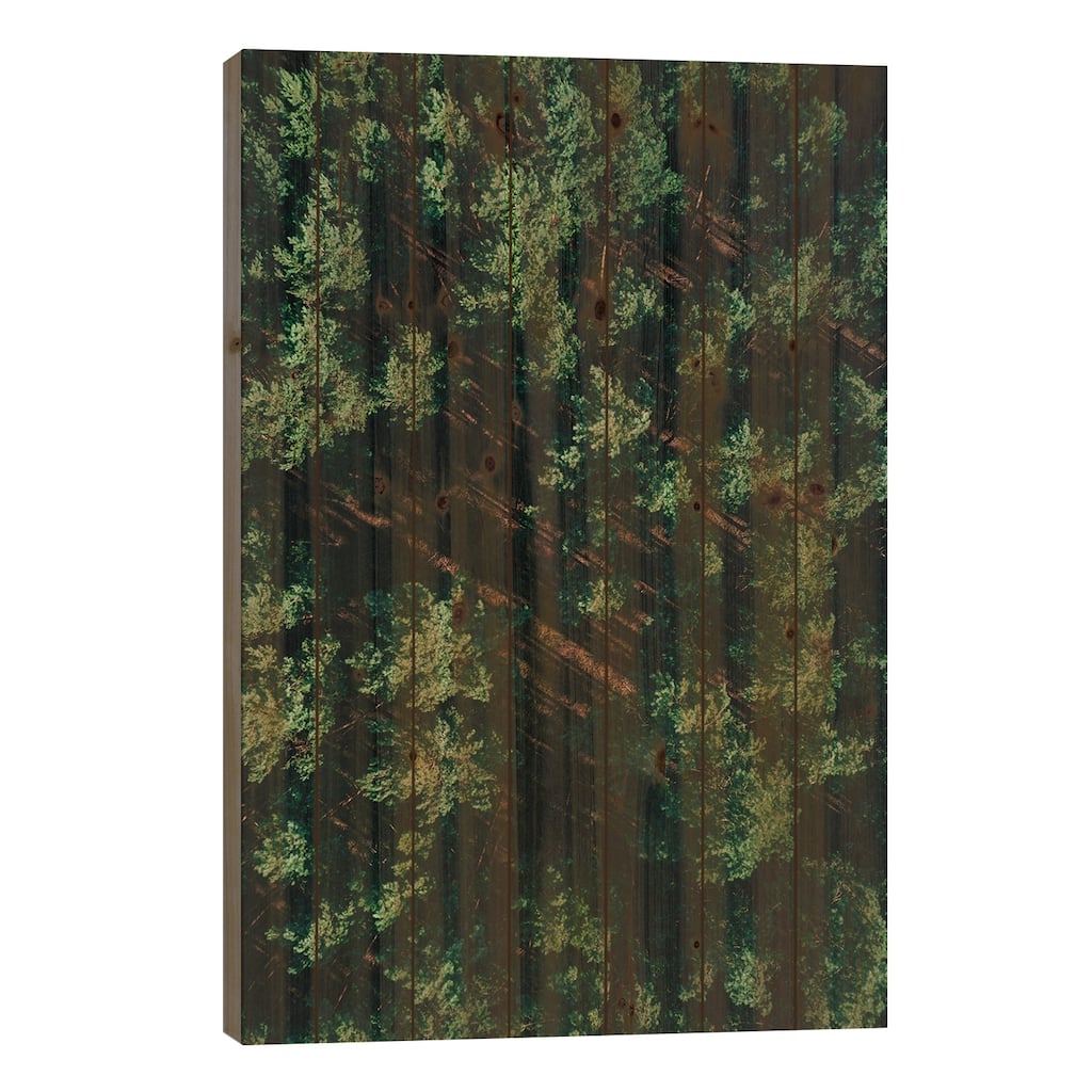 Pattern Forest Print On Wood by Sebastian Hilgetag - Multi-Color