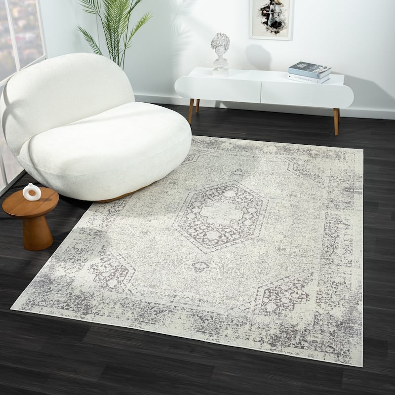 Sevita Traditional Bordered/Medallion Indoor Area Rug