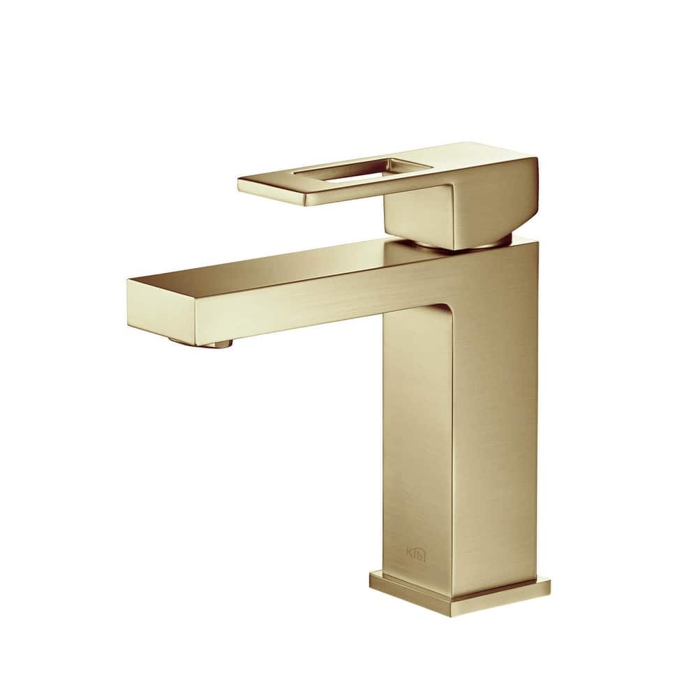 Single-handle Bathroom Vanity Sink Faucet w/ Water Hose