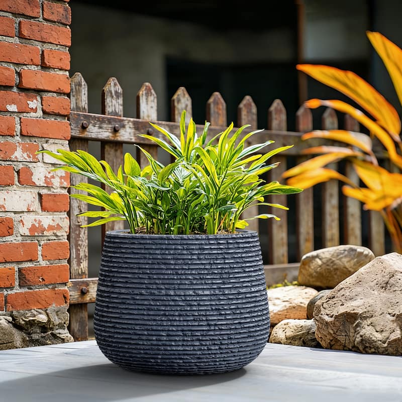 Upgraded Interior Concrete Round Planter with Draiange Holes