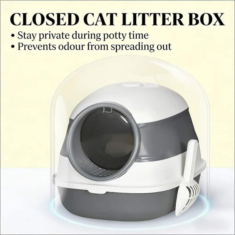 Litter Box with Lid