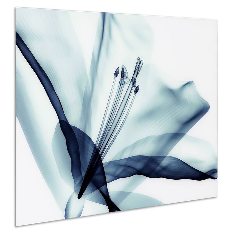 Amaryllis Flower Wall Art Printed on Free Floating Tempered Glass