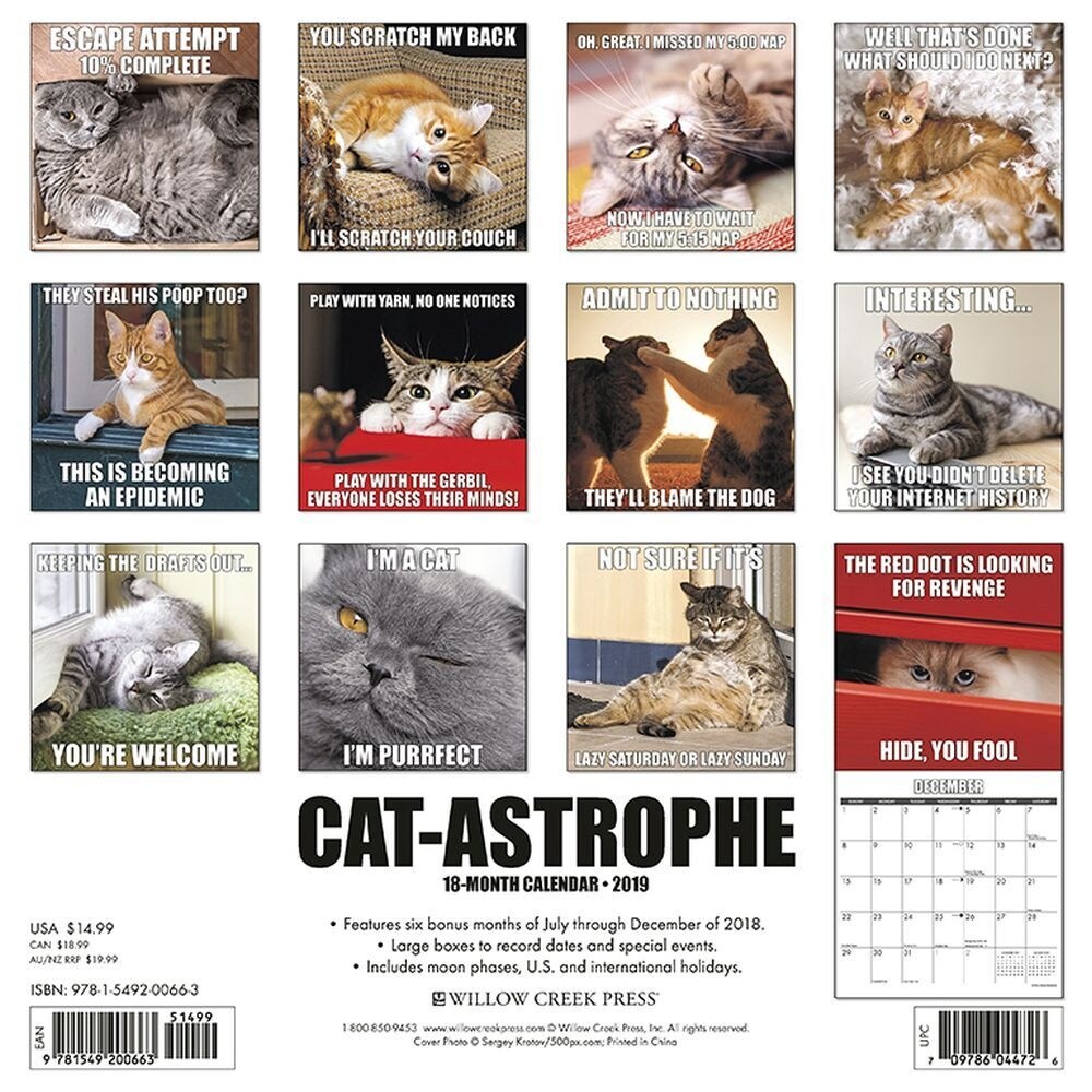 Shop Cat Astrophe Wall Calendar Funny Cats By Willow Creek Press