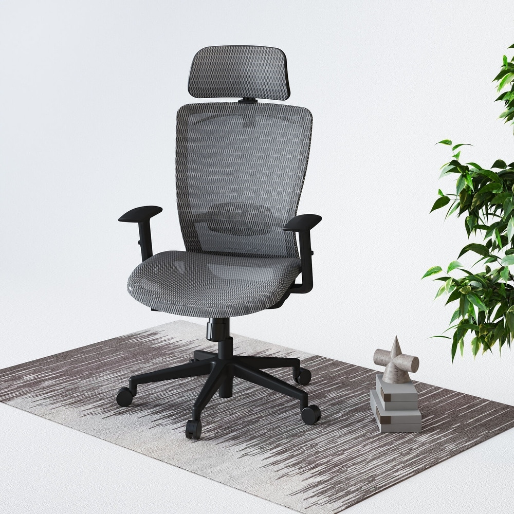 https://ak1.ostkcdn.com/images/products/is/images/direct/91c5bdefde21e6ec44b0160ce37d1a1540a77df7/FlexiSpot-Ergonomic-Mesh-Office-Chair-Swivel-Height-Adjustable-Seat-Headrest-Armrest-Lumbar-Support-Caster-Wheels-Computer-Chair.jpg
