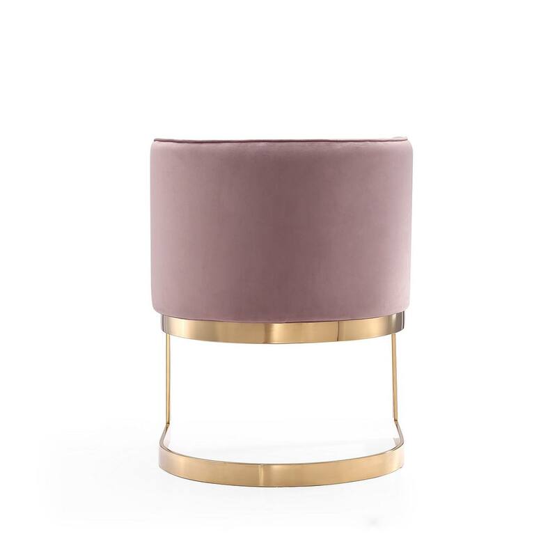 Aura Polished Brass Velvet Dining Chair (Set of 2)