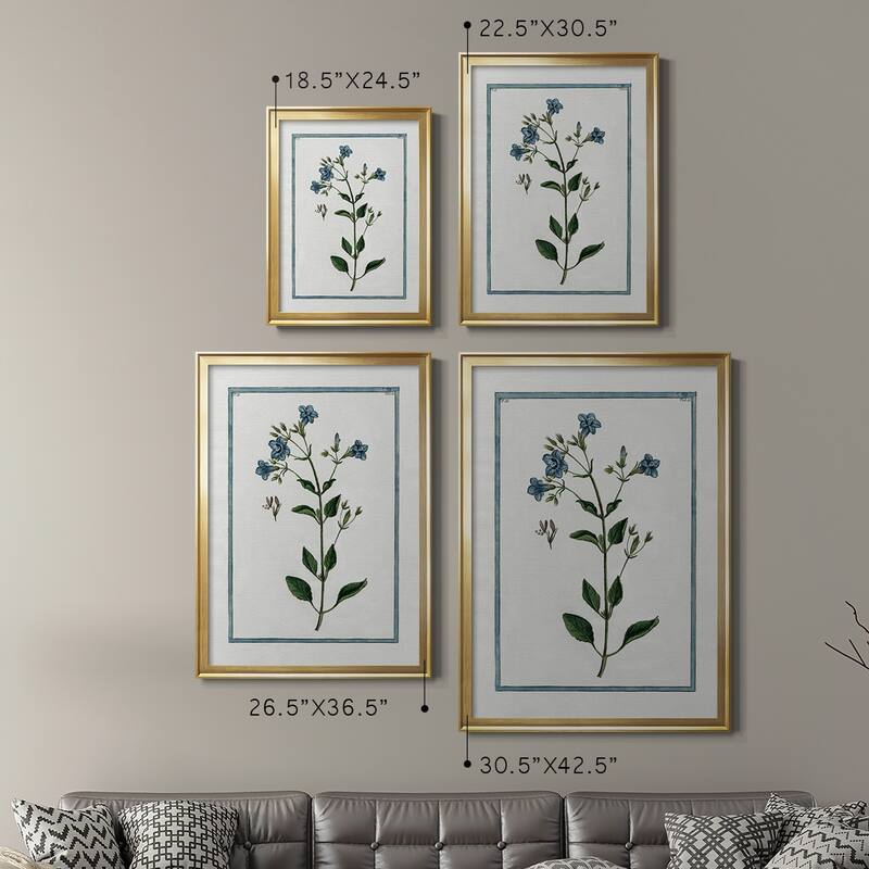 Shabby Chic Botanical II Premium Framed Print - Ready to Hang