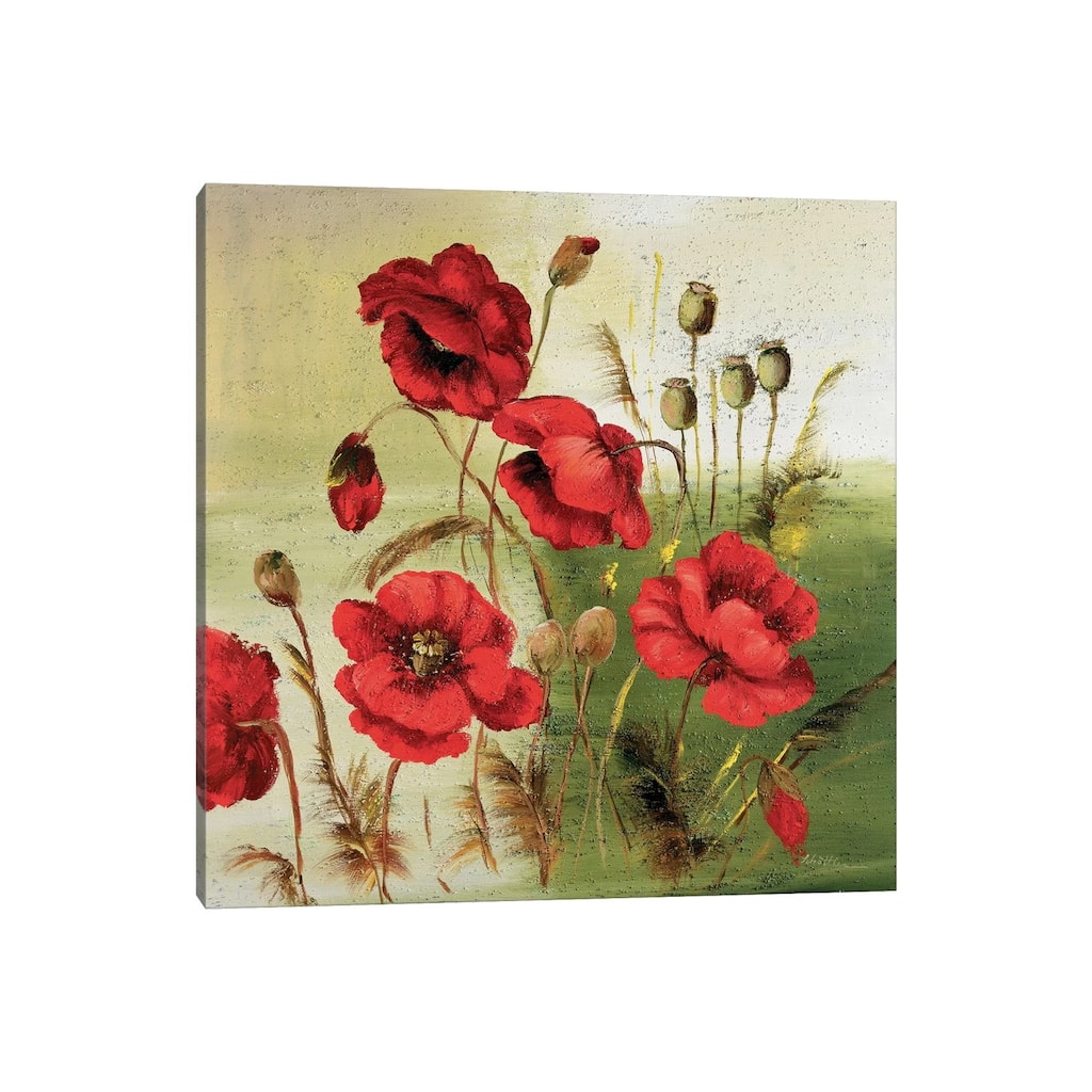 iCanvas "Red Poppies Composition I" by Katharina Schottler Canvas Print