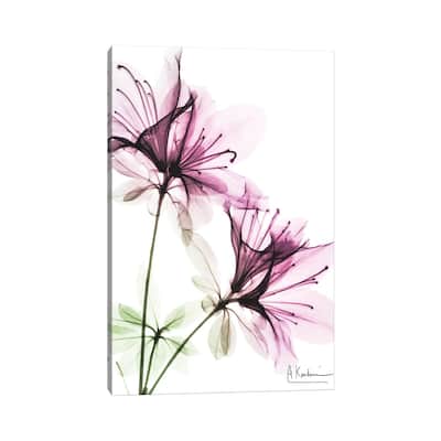 iCanvas "Splendid Beauty I" by Albert Koetsier Canvas Print