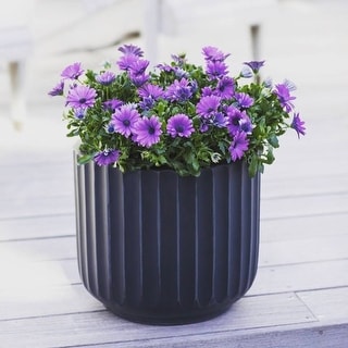 DreamPatio Garland Fiberstone Planter