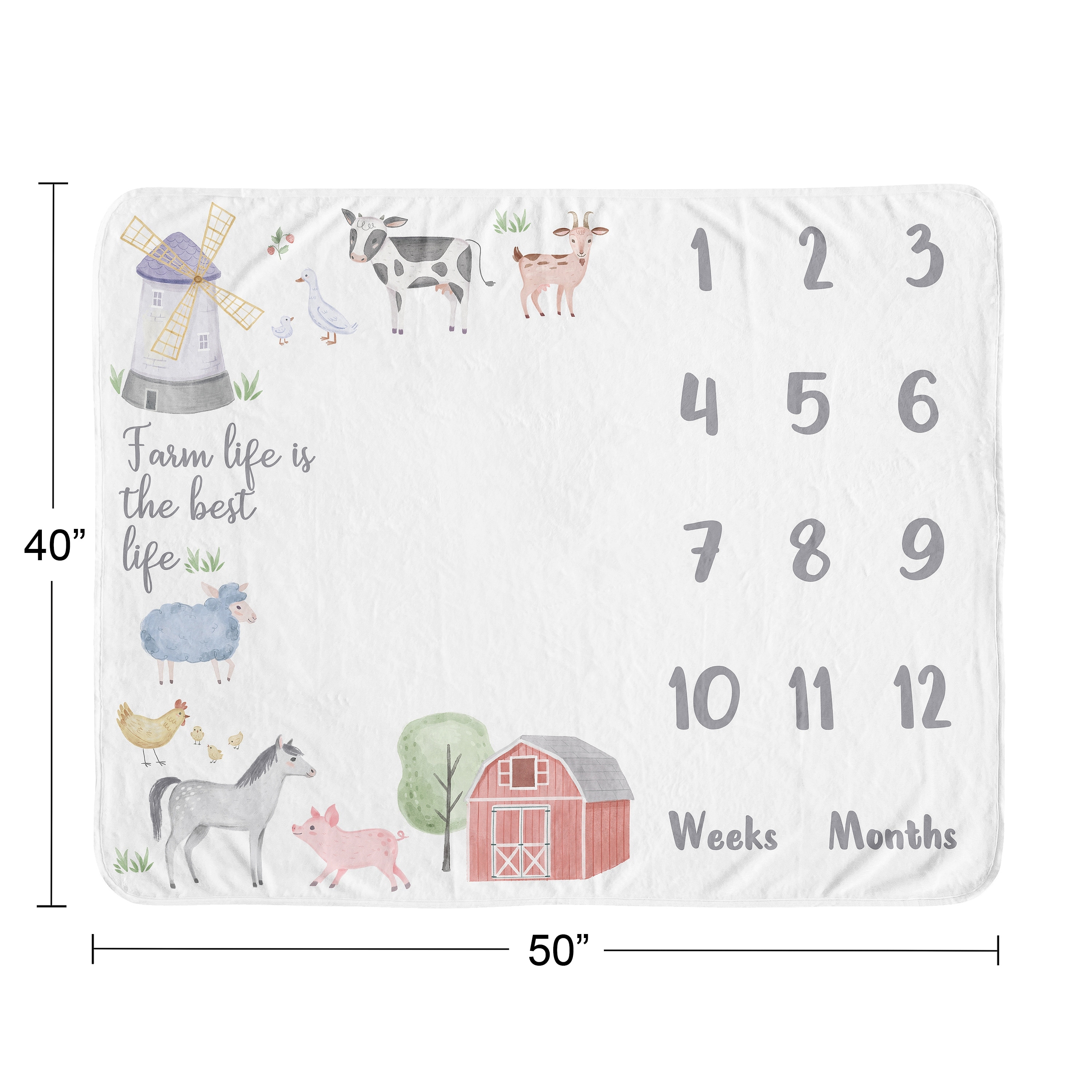 Sweet Jojo Designs Farm Animals Milestone Baby Blanket By Sweet Jojo Designs