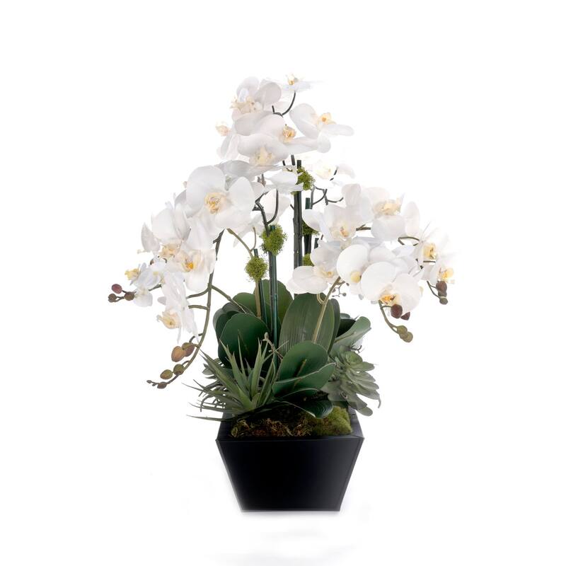 Real Touch White Orchid Flower Arrangement in Black Planter