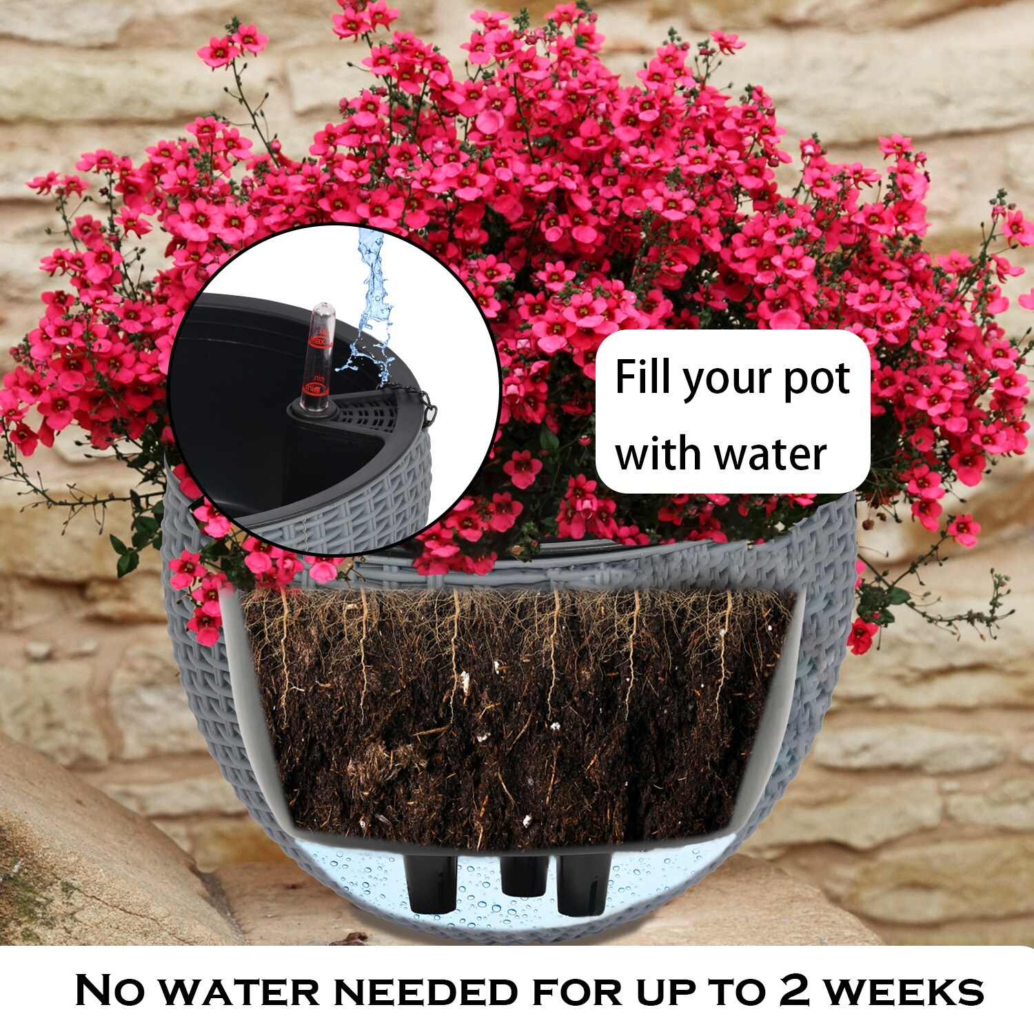 indoor plant light stand Grow Light Stand