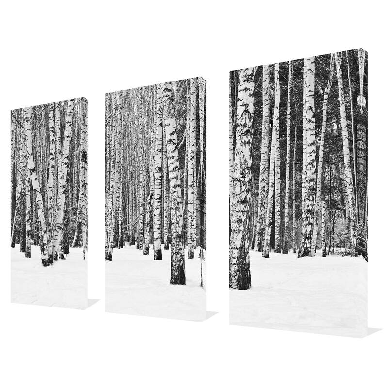"Birch Trees In Winter" 3 Piece Set on Canvas