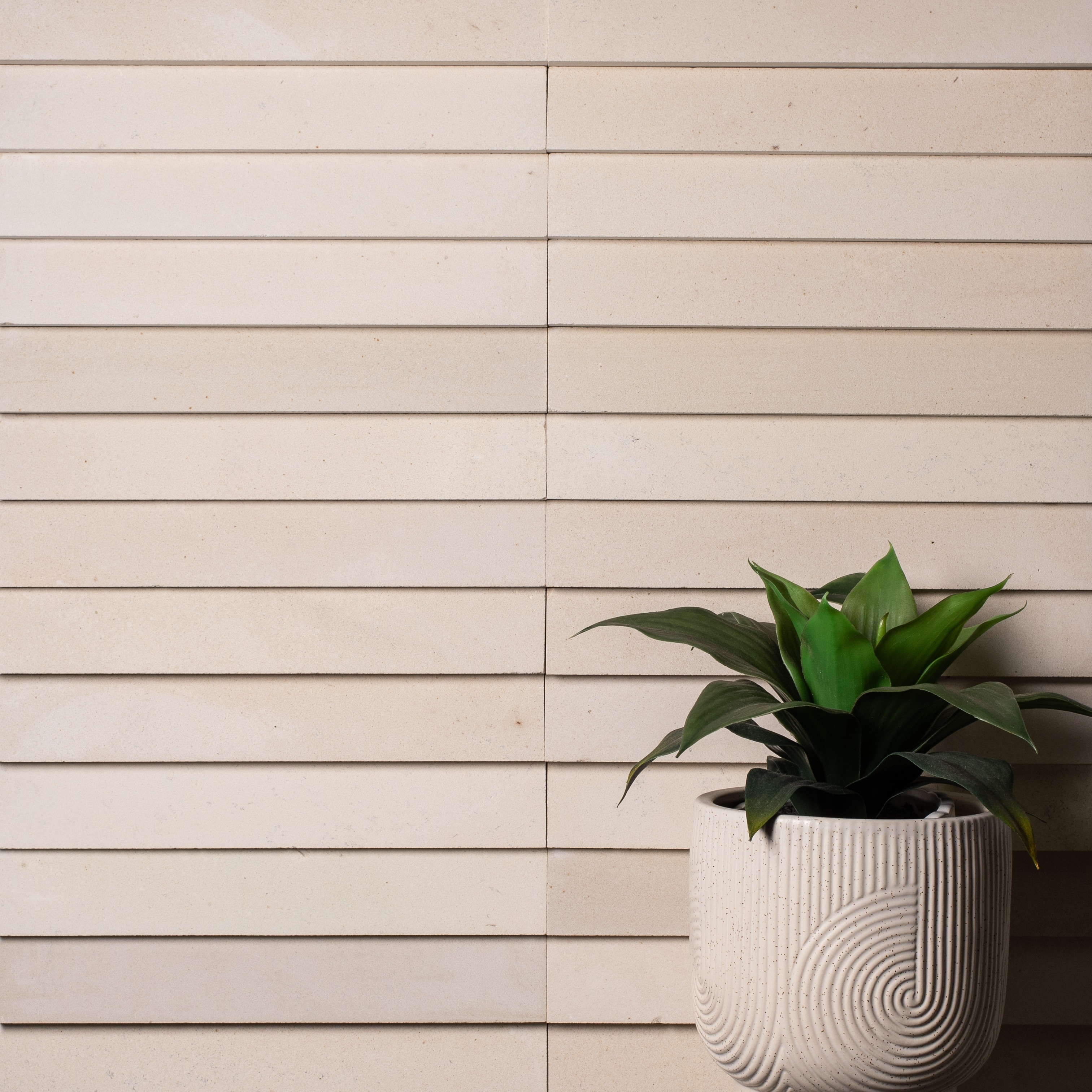 Stone Strip 2 in. x 12 in. Island White Honed Limestone Wall Tile