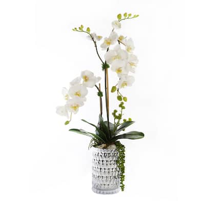 White Orchid with Succulent Arrangement in a Silver Vase