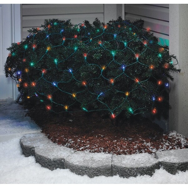 Shop Celebrations 282M4213 Mini Twinkle LED Net Lights, Multi Color, 24