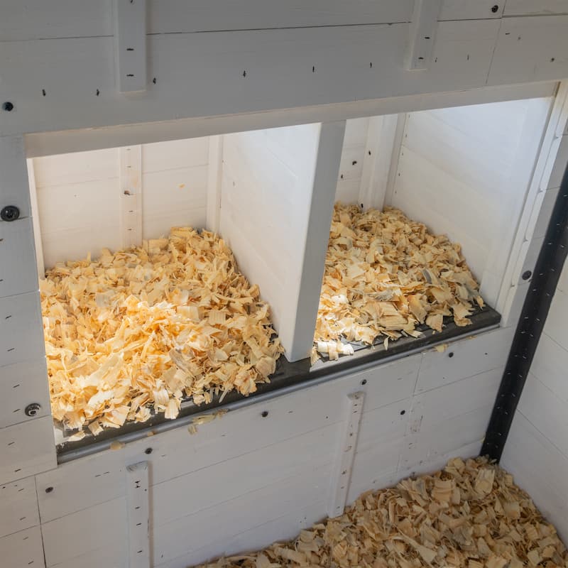 Backyard Discovery Sweetwater Cedar Wooden Chicken Coop, 4-6 Chickens