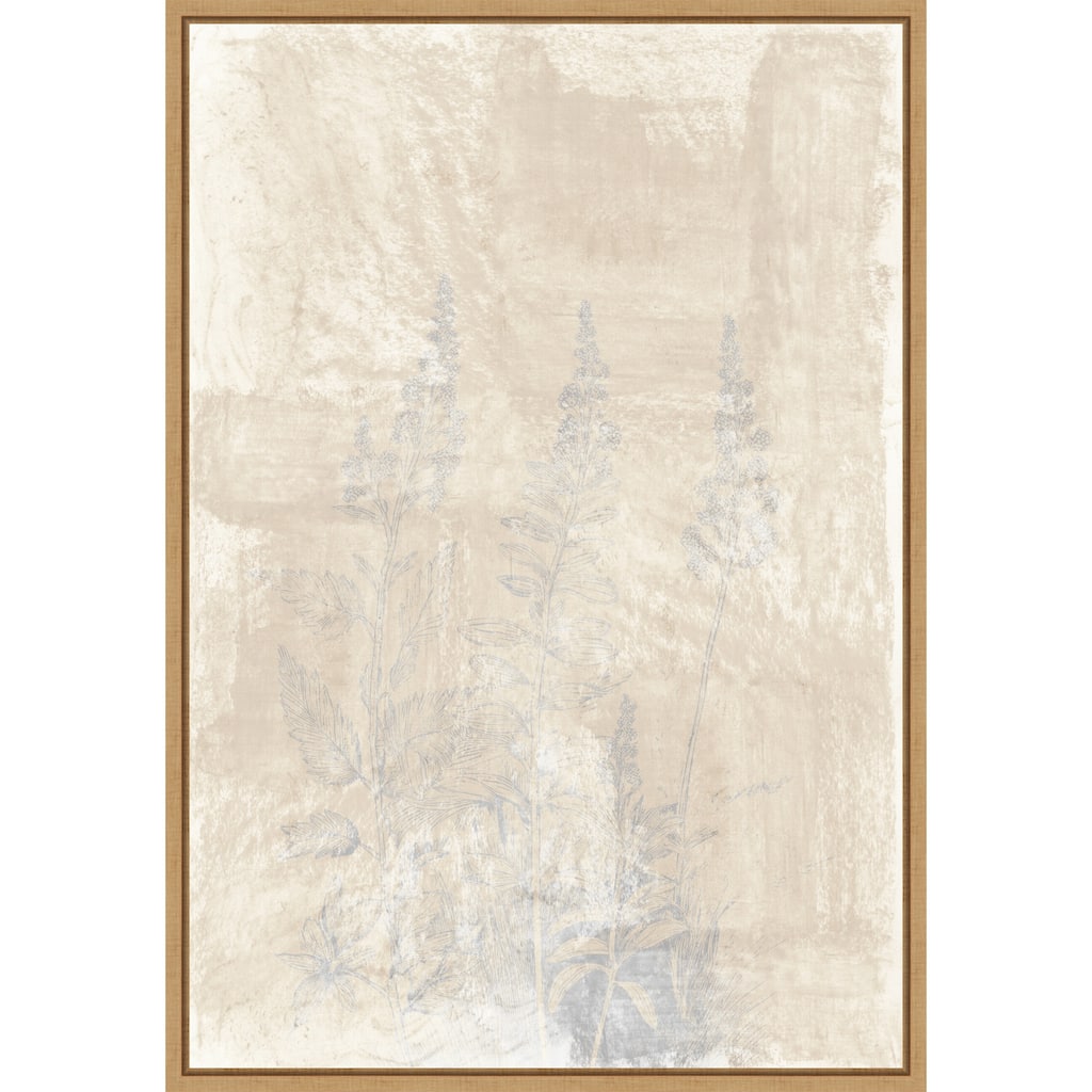 Woodsia No. 2 by Cartissi (23 x 33 in.), Framed Canvas Wall Art Print