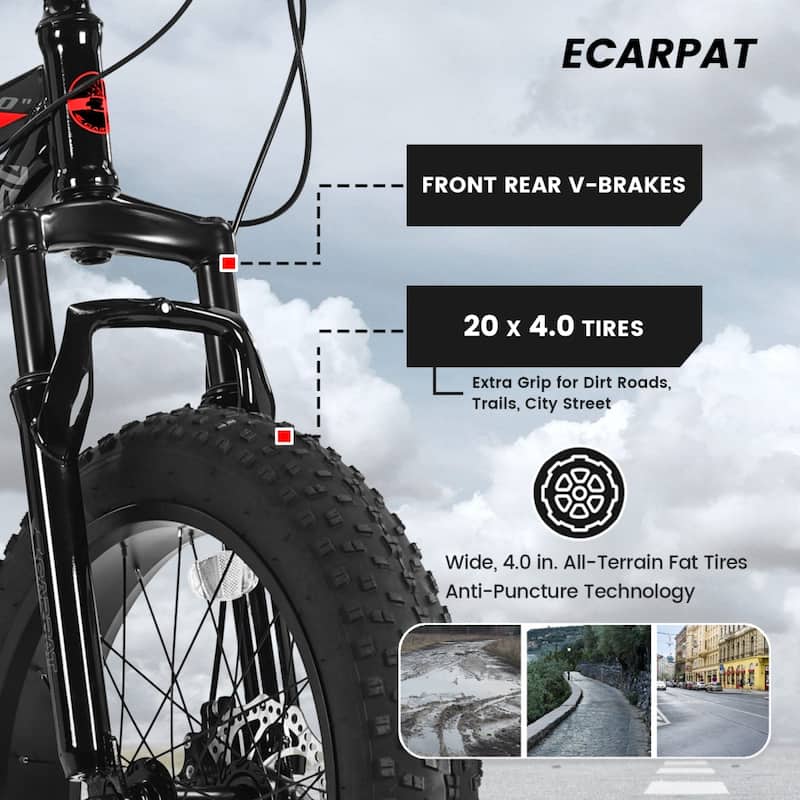 20 in. 7 Speed Steel Mountain Bike with Fat Tire