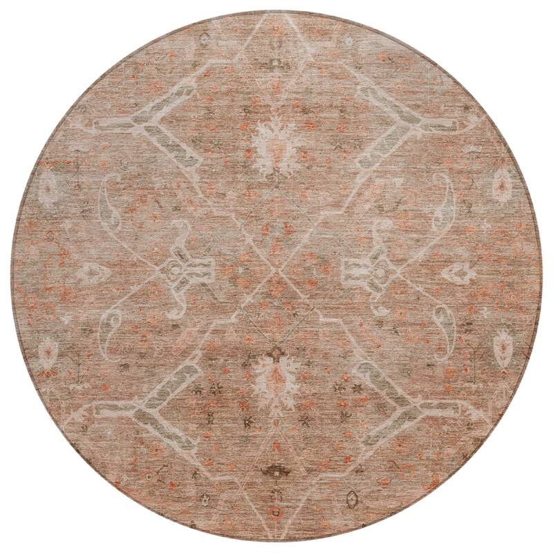 Machine Washable Indoor/ Outdoor Vintage Traditional Chantille Rug