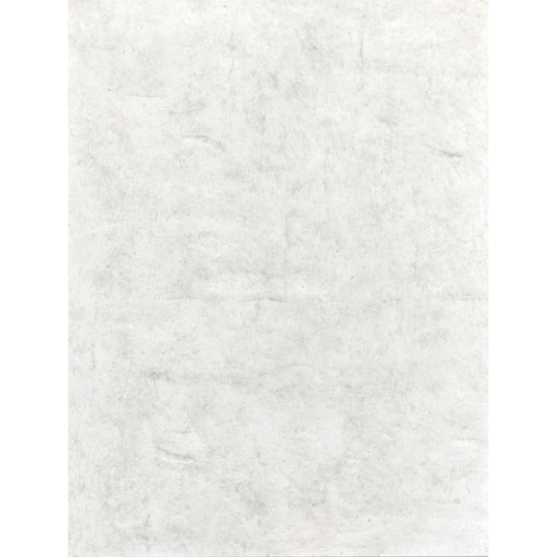 Magnussen Home Lorelei Misty Cloud Panel Bed