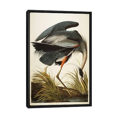 iCanvas "Great Blue Heron " by John James Audubon Framed Canvas Print