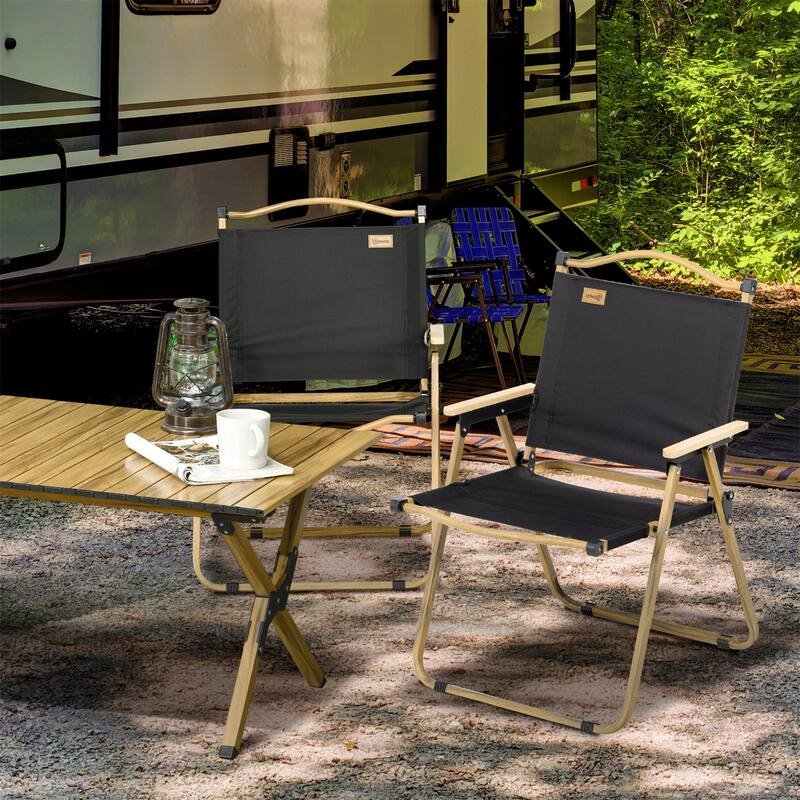 2 Pack Folding Camping Chair