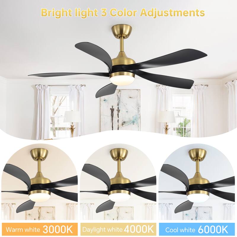 52-Inch Ceiling Fan with Light - Dimmable with Memory Function, DC Reversible Motor, Includes Remote Control
