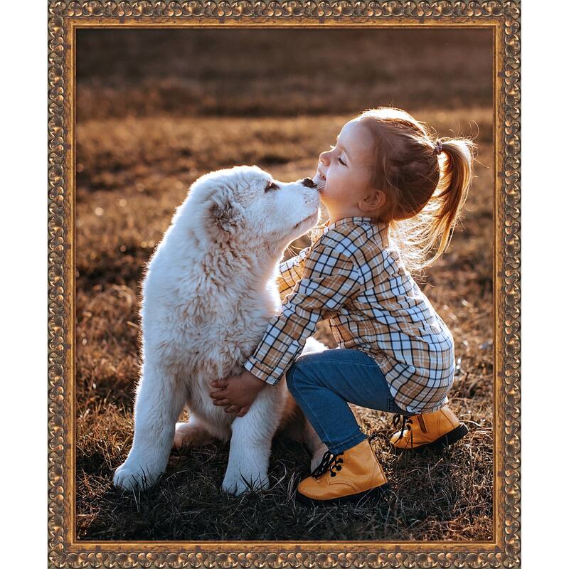 Antique Bronze Framed Picture Frame, Photo Frame - 18x22