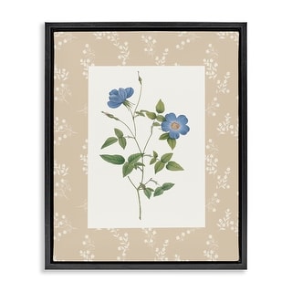 Stupell Vintage Botanical Plate Framed Floater Canvas Wall Art Design ...