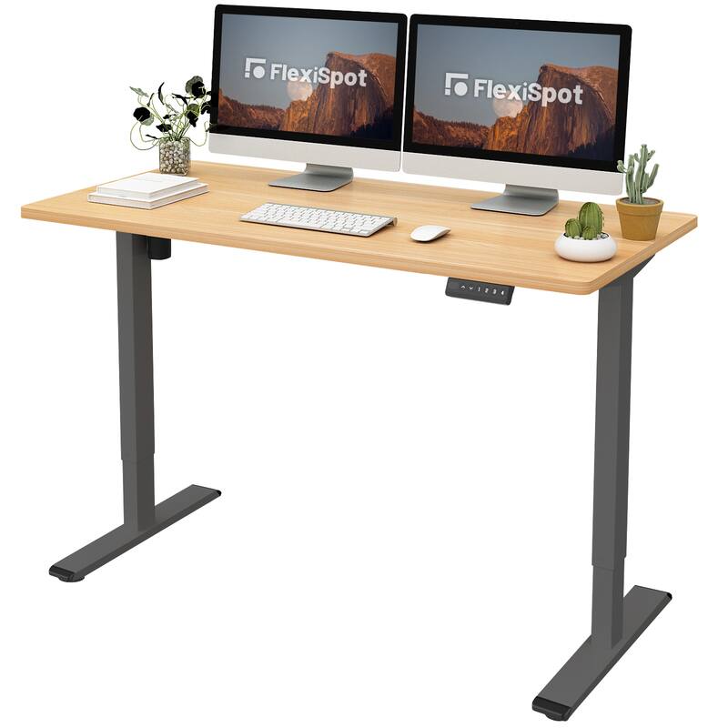FLEXISPOT 55 x 28 Home Office Standing Desk Electric Height Adjustable Desk with LED Memory Control