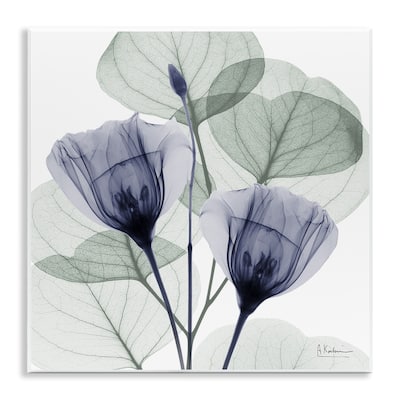 Stupell Contemporary Eucalyptus & Herbs Wall Plaque Art Design By Albert Koetsier
