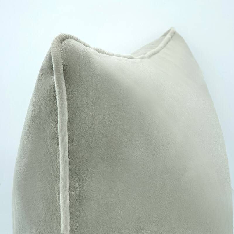 Seren Velvet Decorative Pillow 20 x 20