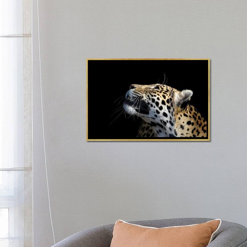 iCanvas "African Leopard" by Adrian Vieriu Framed