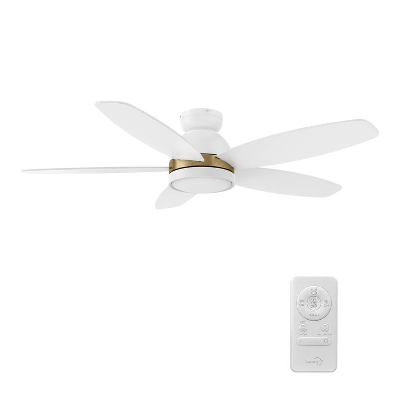 CARRO Cerus 48" 5-Blade Indoor Ceiling Fan with Light and Remote - N/A