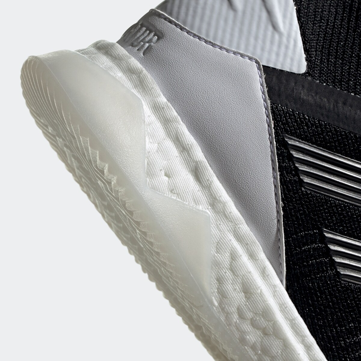 predator 19.1 trainer