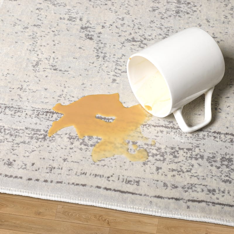 Alis Transitional Medallion Gray Washable Indoor Area Rug by Sevita