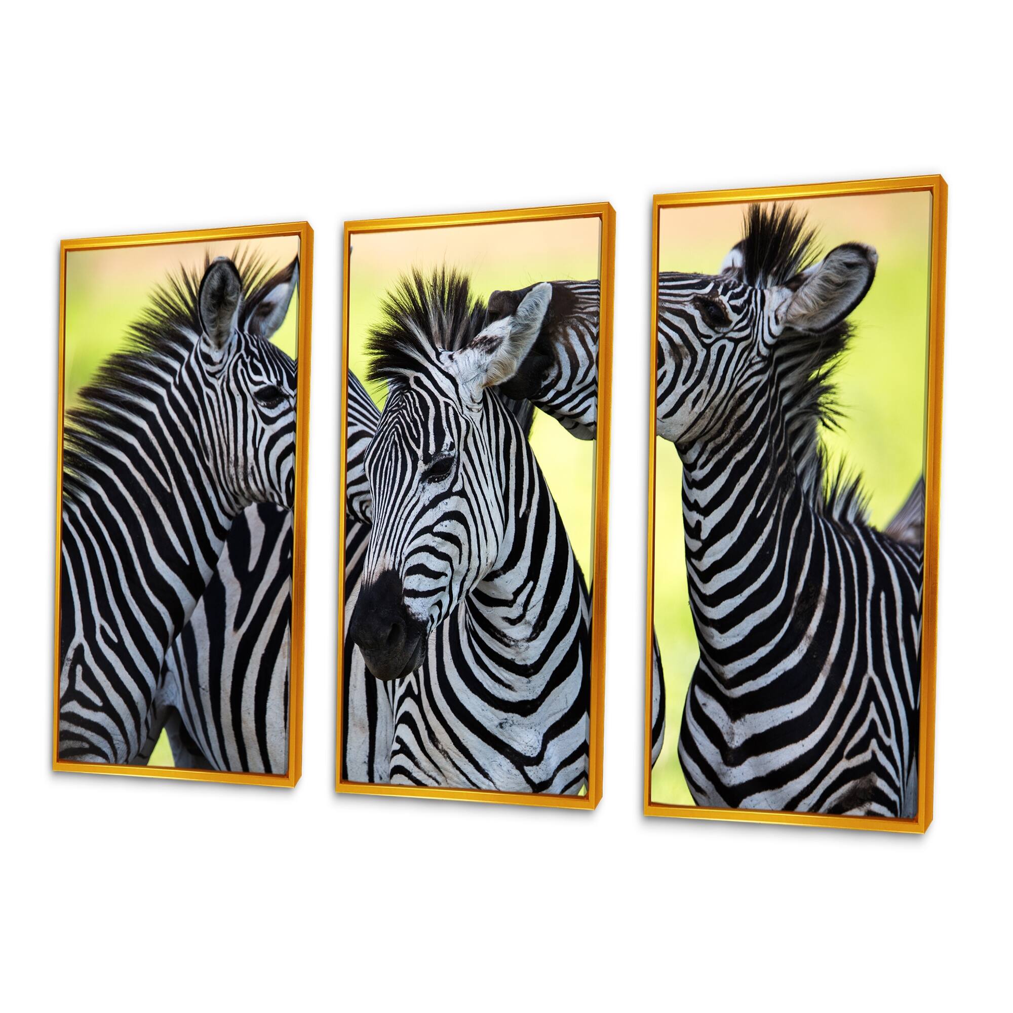 Designart "Zebras Socializing and Kissing" Animal Framed Canvas Wall