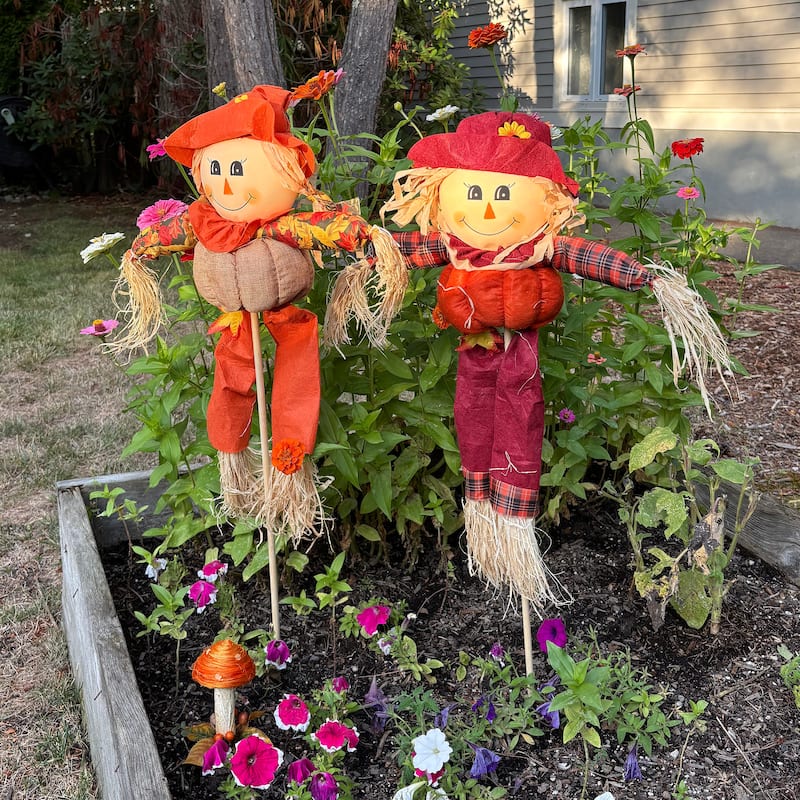 Outdoor 40" Boy & Girl Fall Harvest Scarecrow Yard Stake, Set of 2 - 40